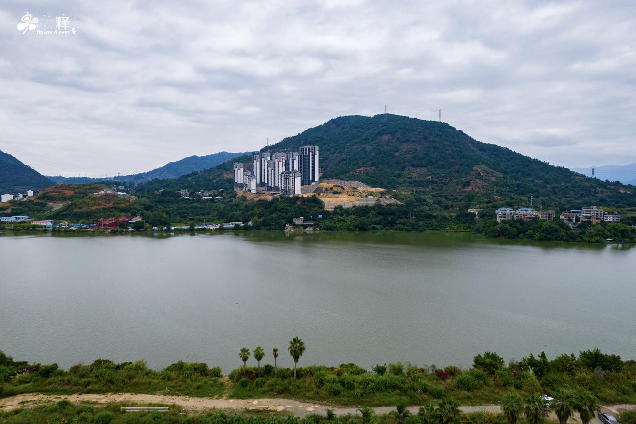 福州地区四大鬼盘4.金水湖，这里是福州4大鬼盘人气最高的区域，几个楼盘加起来好