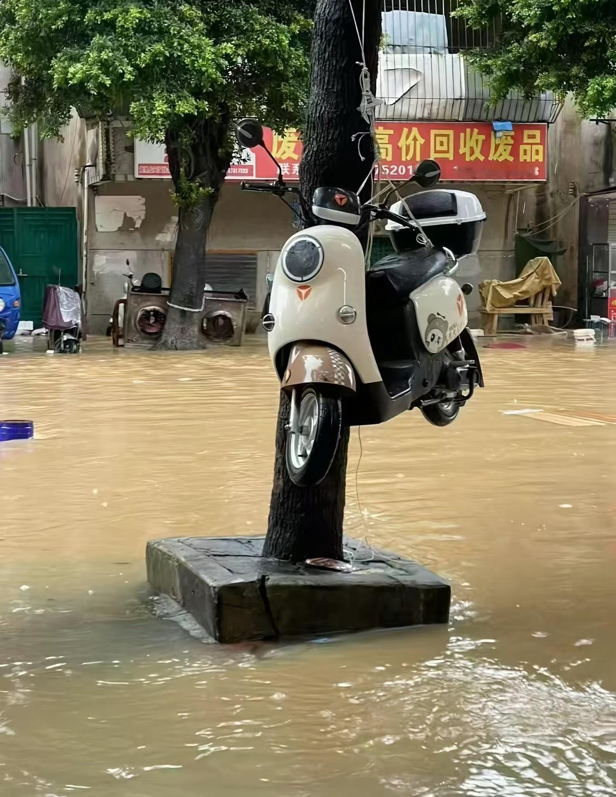 电动车🛵：差一点也成了泡水车[裂开]​​​