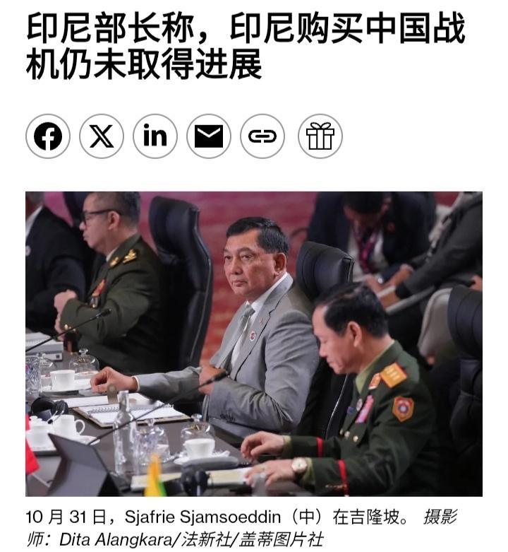 彭博社：印尼国防部长谢弗里·谢姆苏丁此前曾表示将购买中国歼﹣10战斗机，但如今他