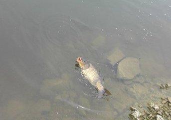 9589767769190511150.jpg?id=0