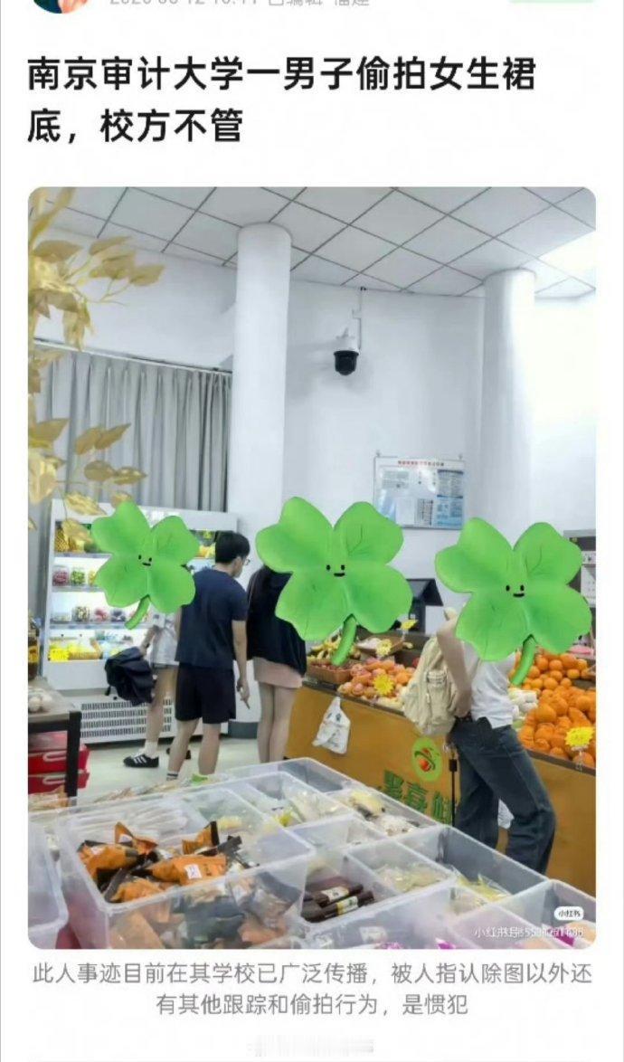 彻底凉凉！南京名校研究生超市偷拍被抓，刚考上公务员直接作废。事发5月11日傍