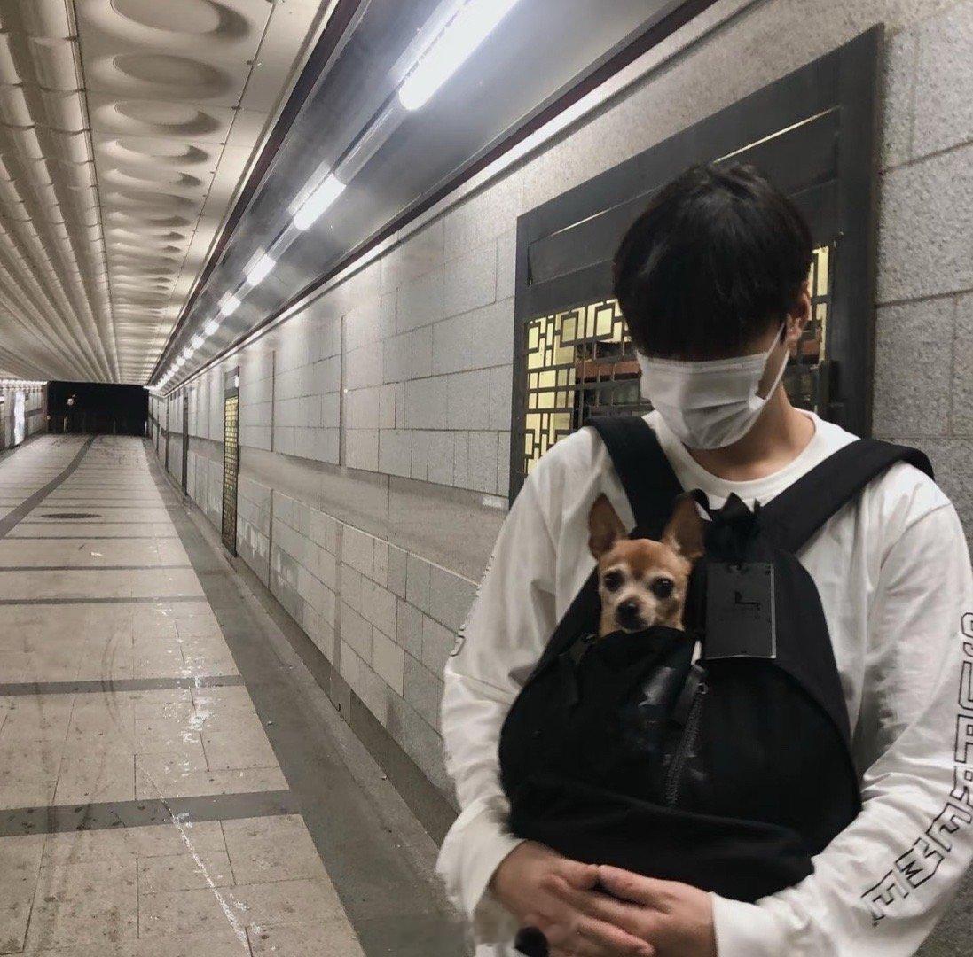 李敏镐这种看起来很有生活感的照片好像也没什么特别的，但就是很好看是滴​