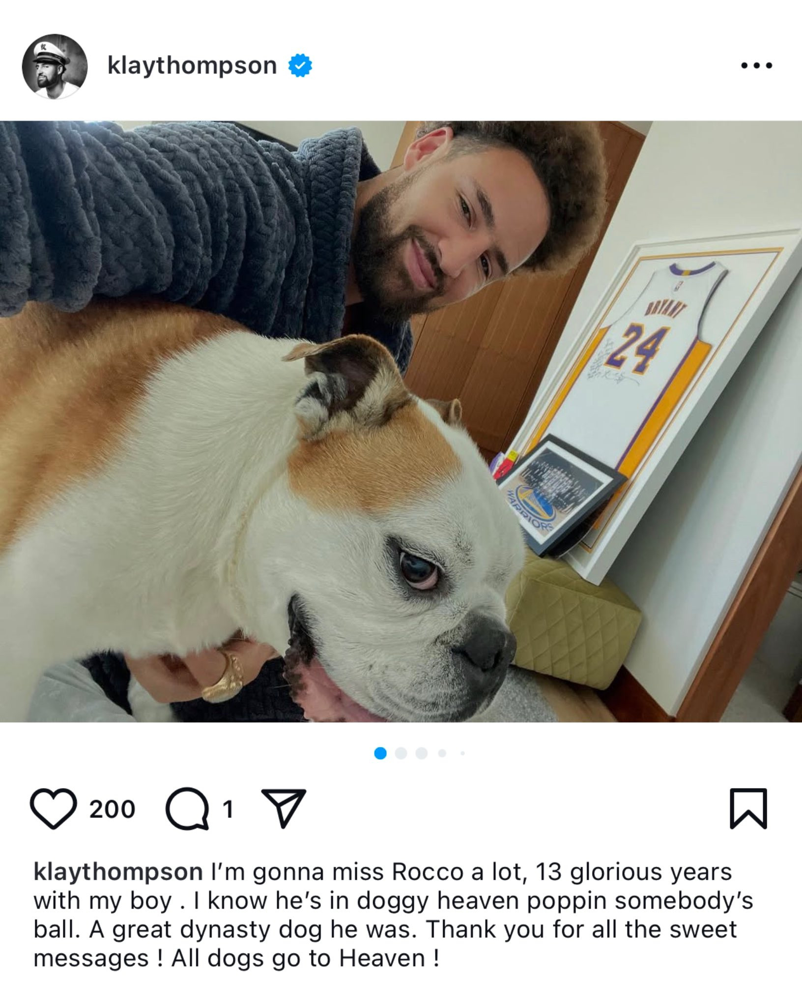 汤普森爱犬接受安乐死汤神发文悼念爱犬罗科Rocco：我会非常想念Rocco，和