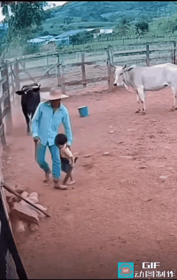 好感人！长白山脚下那头白牛的举动，直接戳中了无数人的心窝！其实动物的灵性从