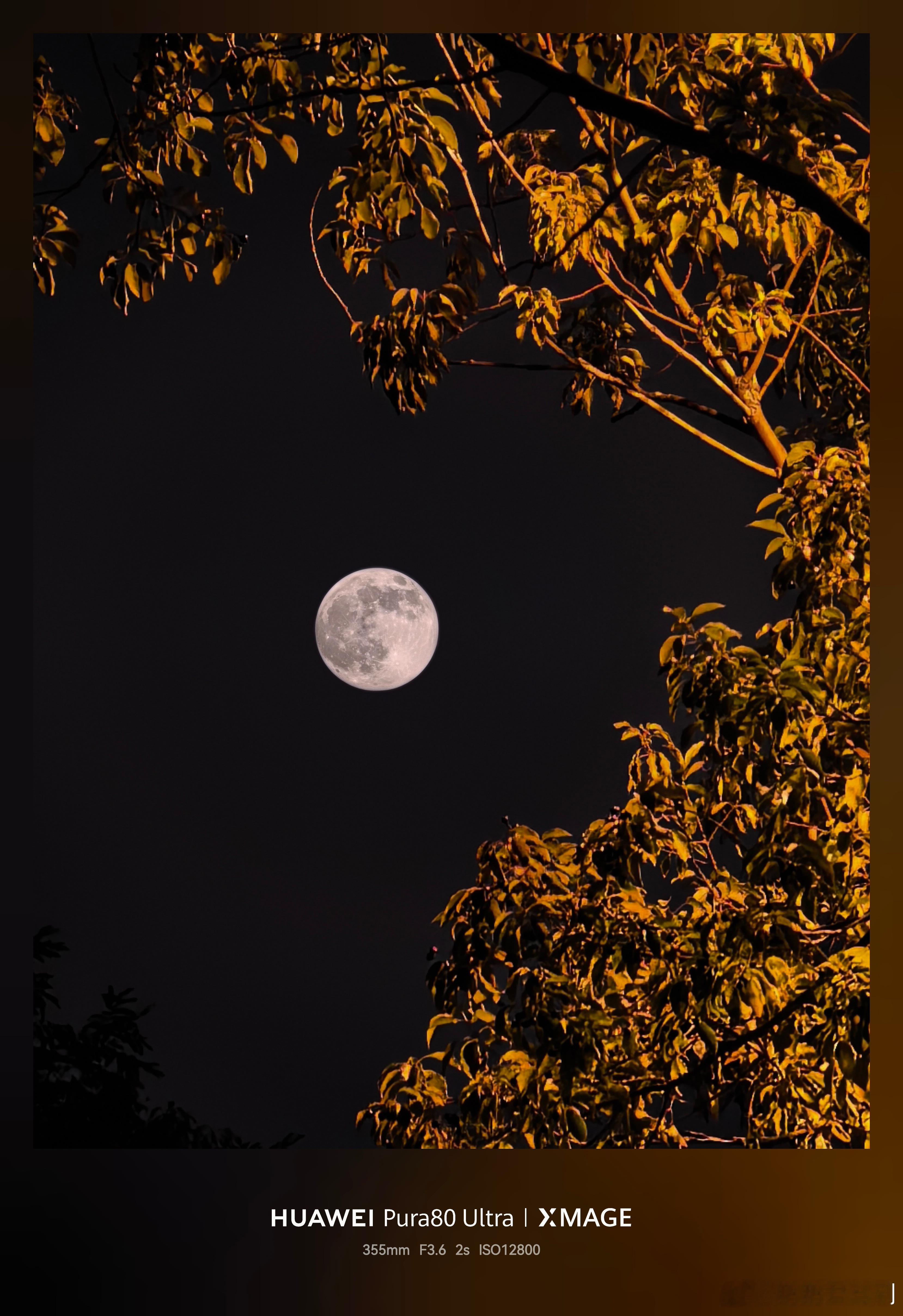 超级月亮我在遥望，月亮之上！大家今晚看到超级月亮了吗？？[大笑][大笑]鸿蒙越用