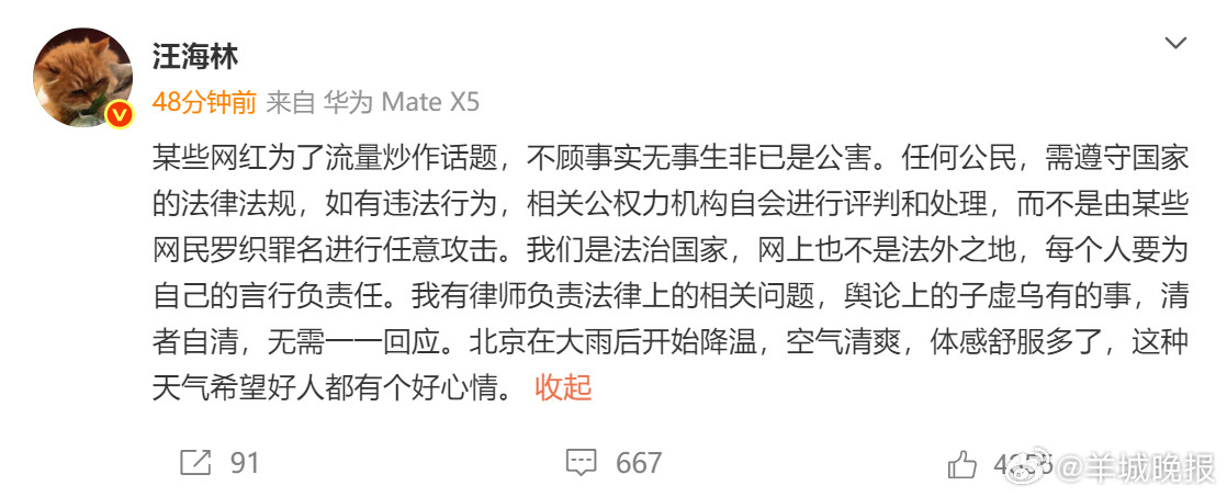 【#汪海林说清者自清汪海林否认偷税漏税#“峰哥亡命天涯”发布的视频中，他向税务部