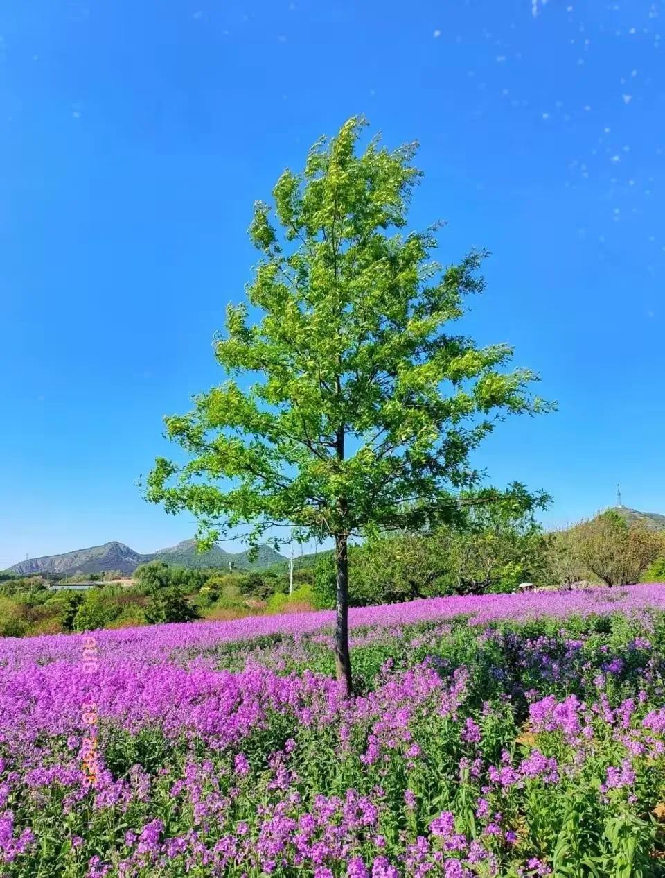 一位历经世事的商人，说过这样一句耐人寻味的话：“男人这一生，选伴侣，要么选个