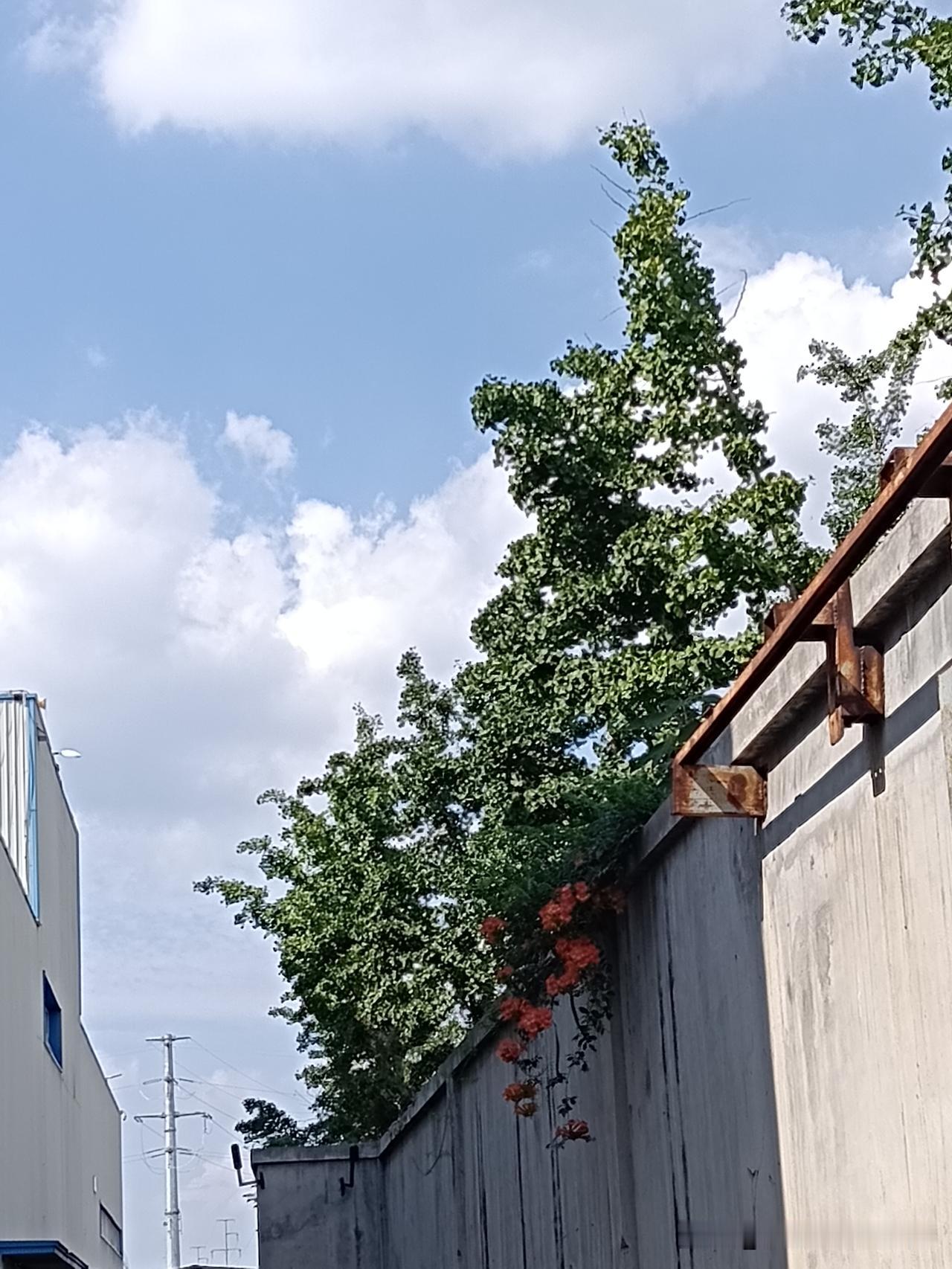 长寿最好的方法：1、睡前常泡脚。2、不憋尿，保持大便通畅。3、多喝白开