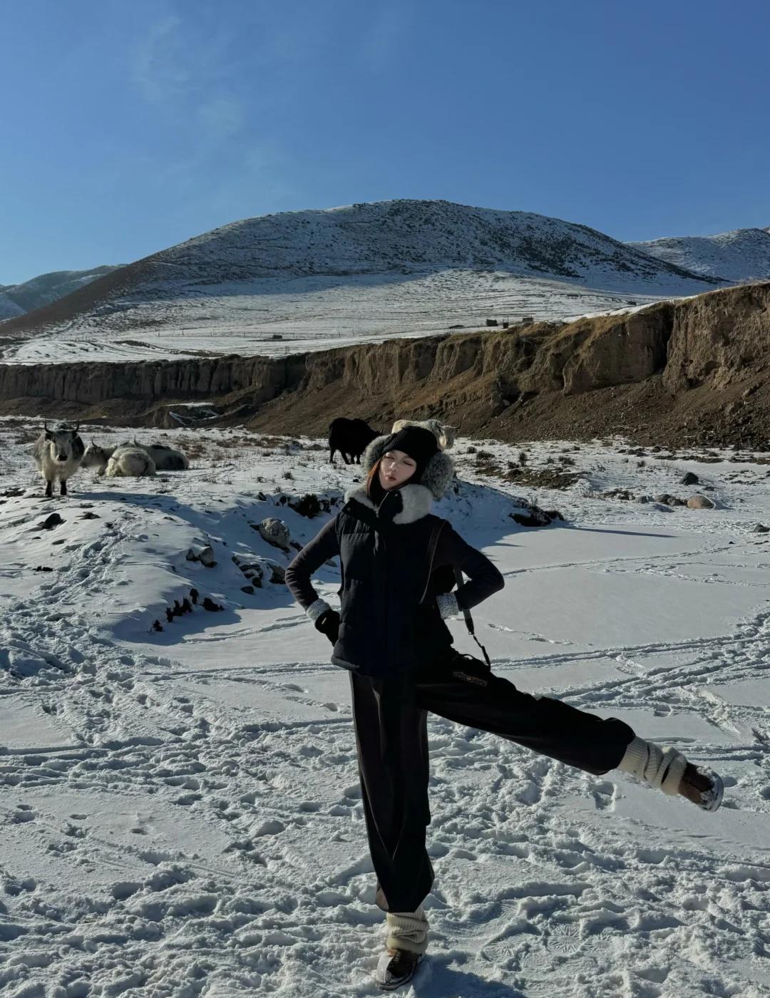 淡季游西北.🏔️去马牙雪山看牦牛大西北之旅第二篇·兰州周边一日游从兰州出发