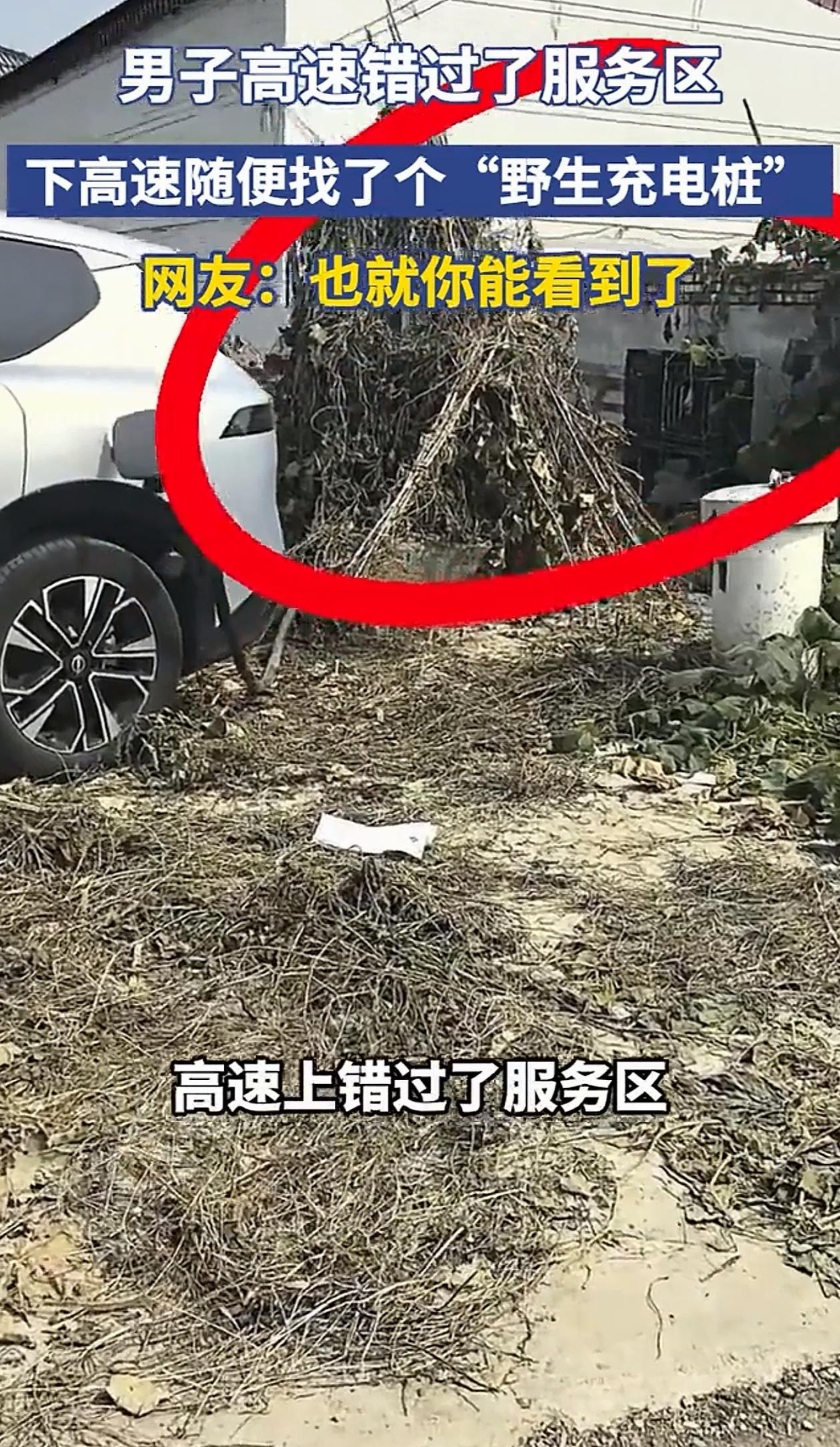 “笑不活了！”河南，男子开电车错过高速服务区，他赶紧下高速按导航找了个最近的充电