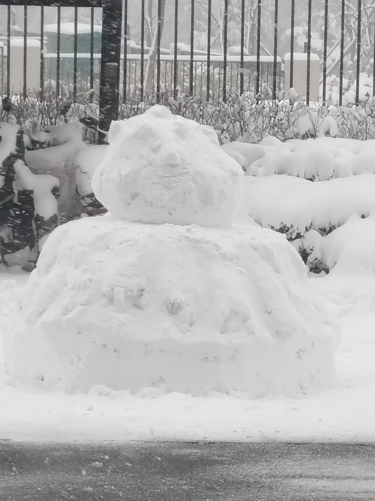 我们这里积雪已超20厘米啦，这是刚刚堆好的雪人，坐标就在体育场西南方向2公里处哦