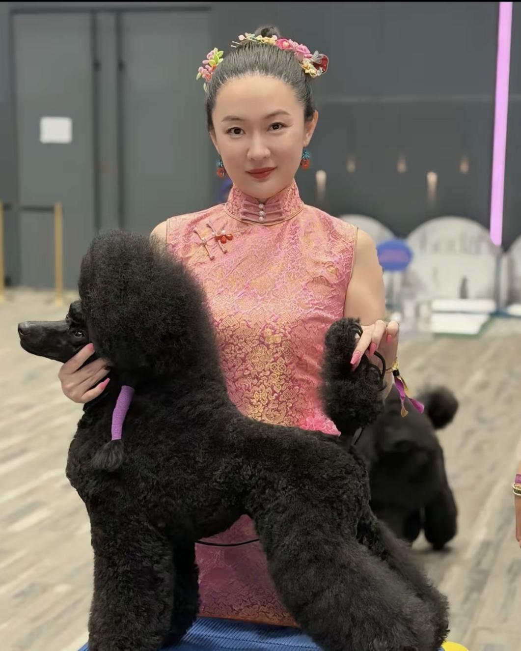 一只赛级贵宾犬美容八千八，我表姐说它毛比貂皮贵，这钱花得真不是给狗，是给标准。