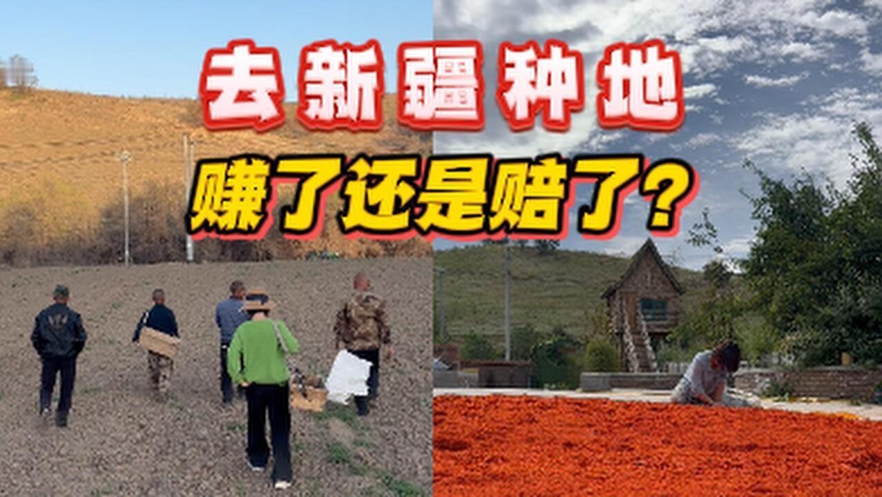 之前光听旁人传言，没核实真实行情就发文说去新疆包地能赚钱，现在看来要修正说法啊，