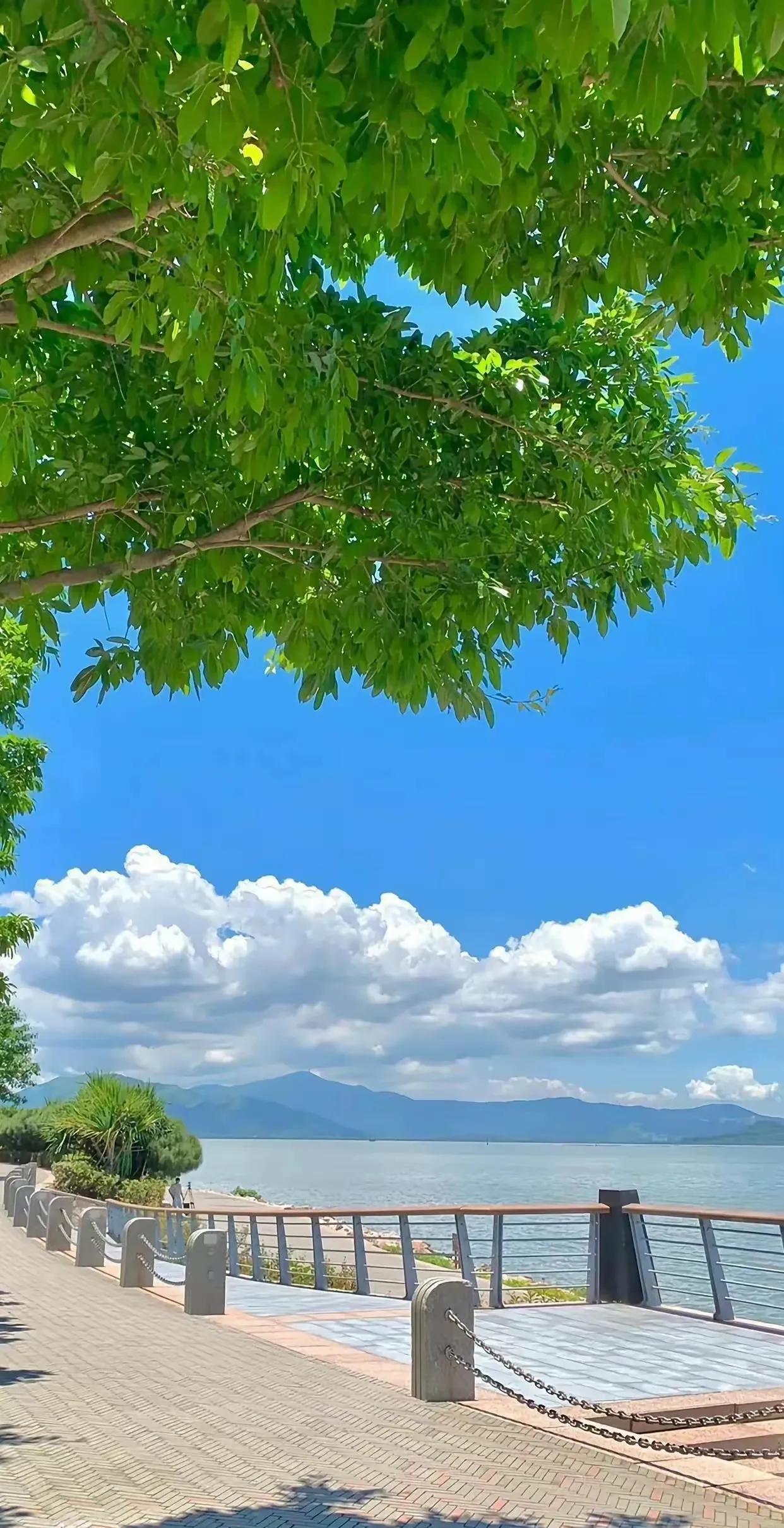 曾仕强教授：“你一生的功名利禄，全都是天定，你不要认为这是自己奋斗来的，你所能
