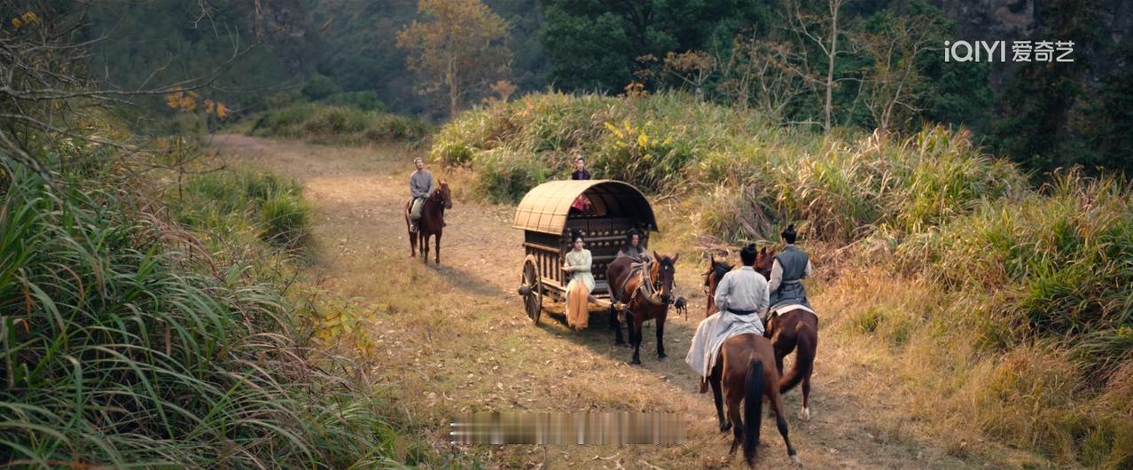 没有SVIP的，是不是，只有爱奇艺了？昨天《唐朝诡事录之长安》空降6集，直接