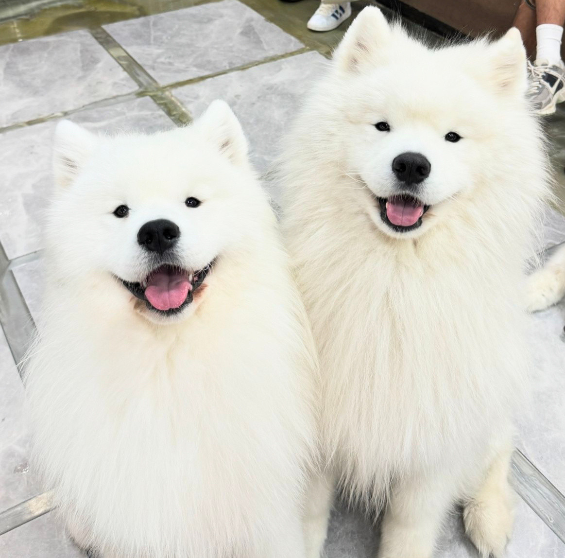 你好，我们可以来蹭饭吗，你家的饭菜好香好香​​​