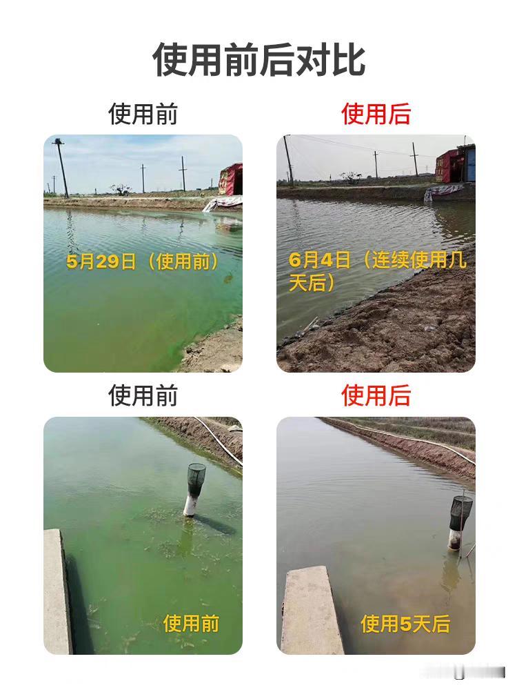 1，基围虾：高密度养殖——建议少吃2，小青龙：基本都是规模化养殖icon——