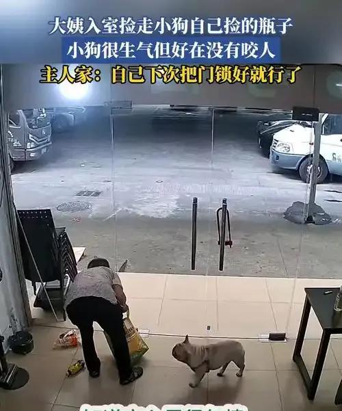 小狗一个月捡瓶子能卖八百多，五十个老太太都捡不过它呀。七月八号，广东广州一位老人