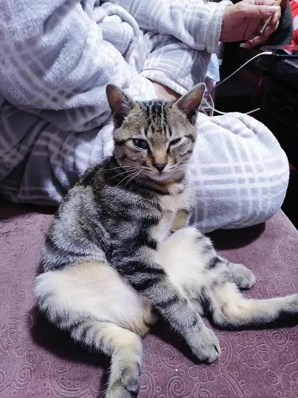 我亲舅，资产过千万。我给我舅干了一年活。那年我18。我爸怕我出去打工，被人欺负。