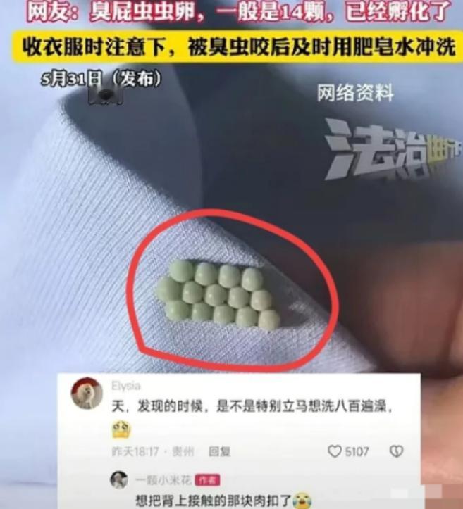 “太恶心了！”5月31日四川，一女子起床穿内衣，结果，却总感觉扣不舒服，她将内衣