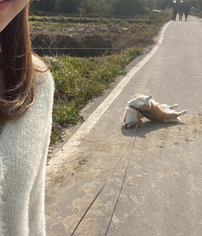 不想回家也不要这样啊，差点以为你诈尸！