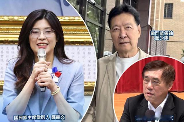 清除国民党内“亲中”力量？郑丽文向赵少康掀桌，作出4点回应:一，“扣红帽”是最要