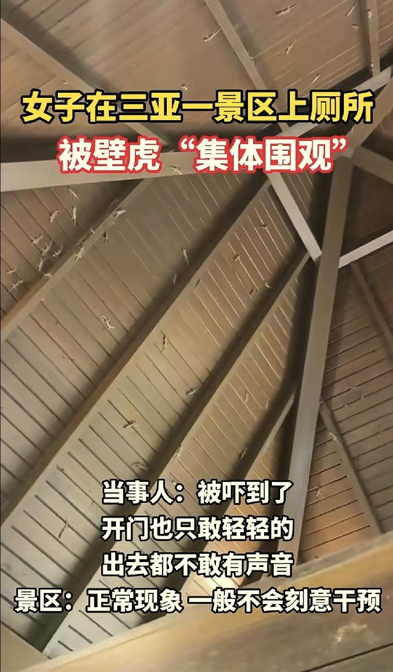 海南，一位女生在景区游玩，中途去上厕所，刚进门就看到墙上趴着两三只壁虎，心里有点