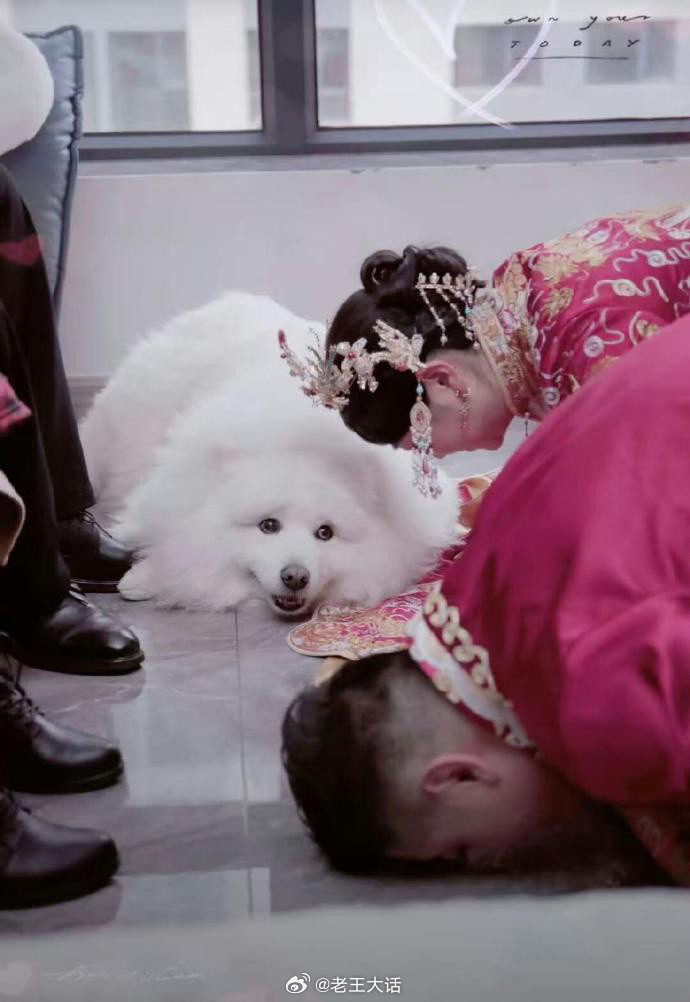 挤在结婚照里的家人