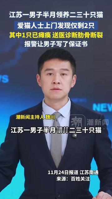 本来是领养代替购买的暖心善举，怎么成了流浪猫的死亡倒计时？江苏这事儿，我看完气得