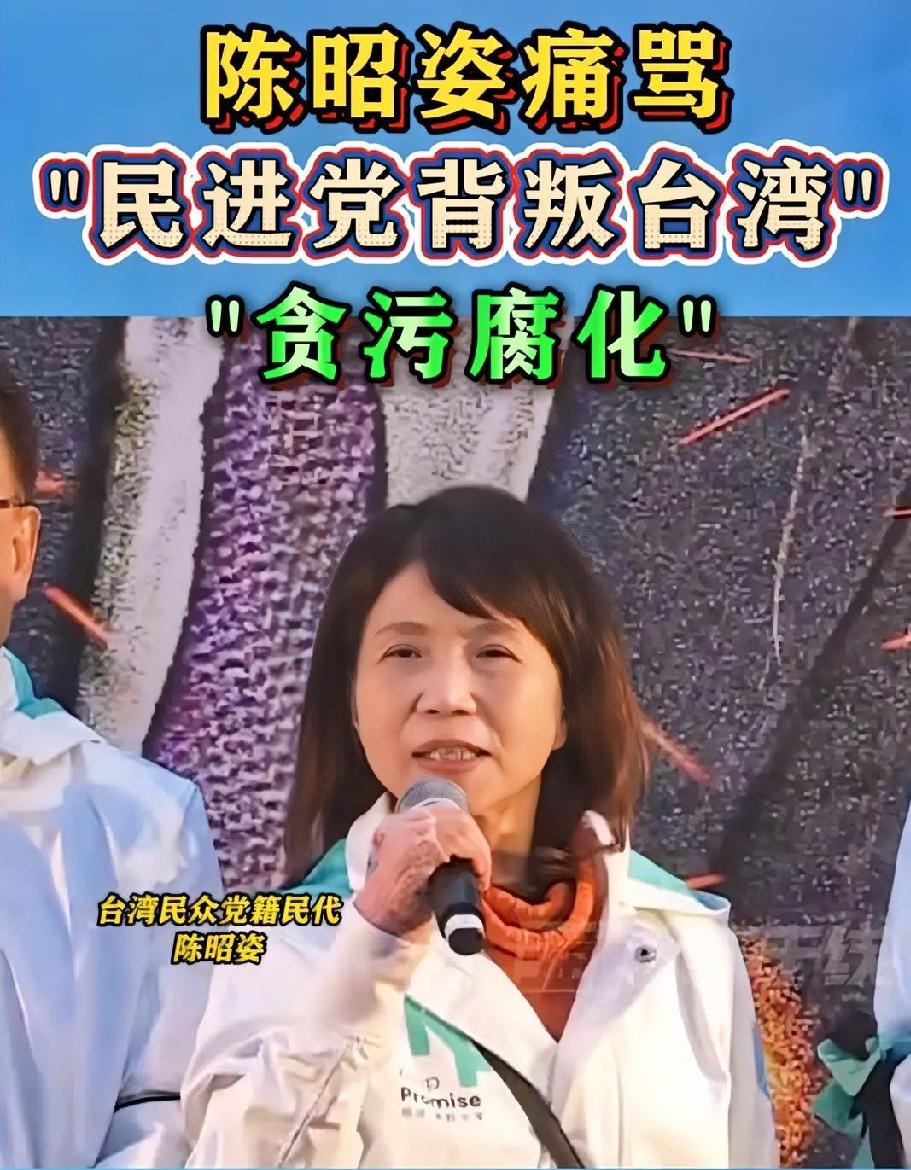 该清理门户了，民进党立委王美惠叫嚣：“我们是台湾人，不是中国人。”​不过真的