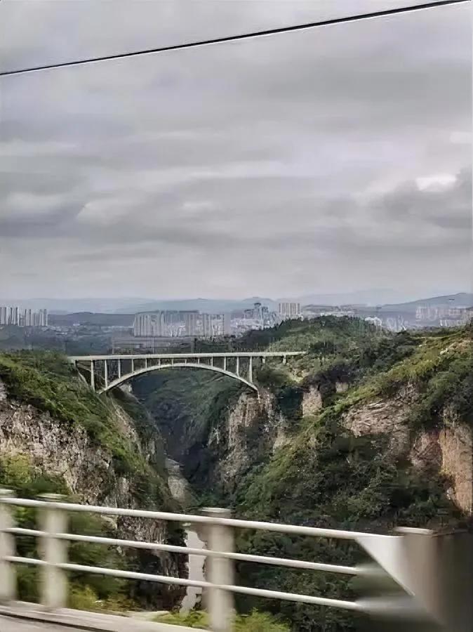 “上班图啥？”“图活着。”这回答够直接，也够扎心。最近刷到个程序员吐槽：