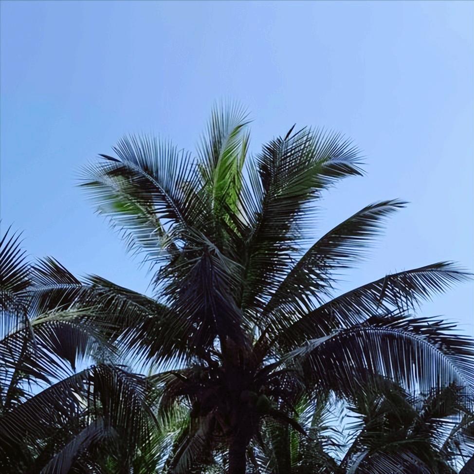 蒋万安在上海这样说 12月28日，蒋万安在上海这样说： 接触比抵触好，