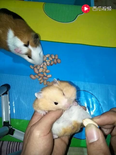 959657884342626312.jpg?id=0