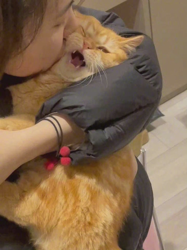 满脸都写着拒绝！！！