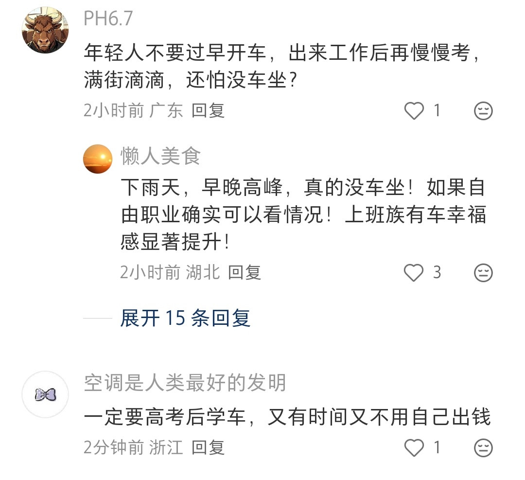 看这个帖子评论，感觉现在人对考驾照的执念很深的样子哎。没有说对不对，或者该什么时