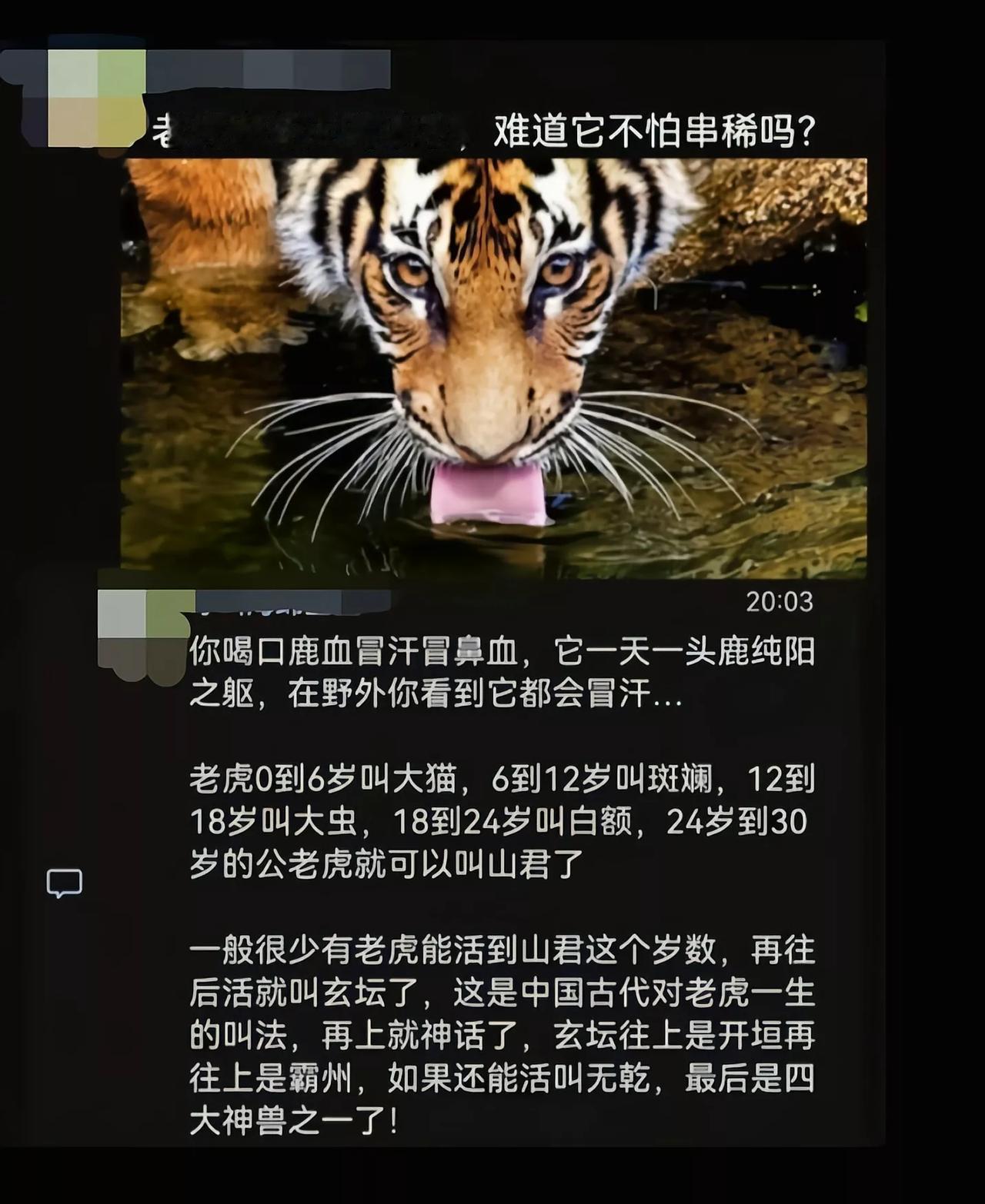 老虎冬天不喝冰水，难道还能有开水喝么[吃瓜]