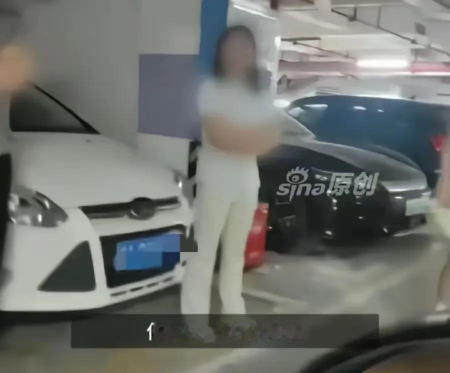 占车位的这位“牛”女士估计现在肠子都悔青了。接下来可能会面临被单位停职反省，毕竟