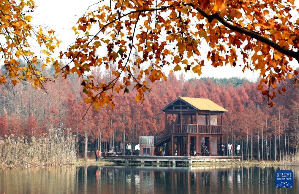 新华社12月16日报道，12月15日，受中共中央委托，中共中央政治局委员、中央统