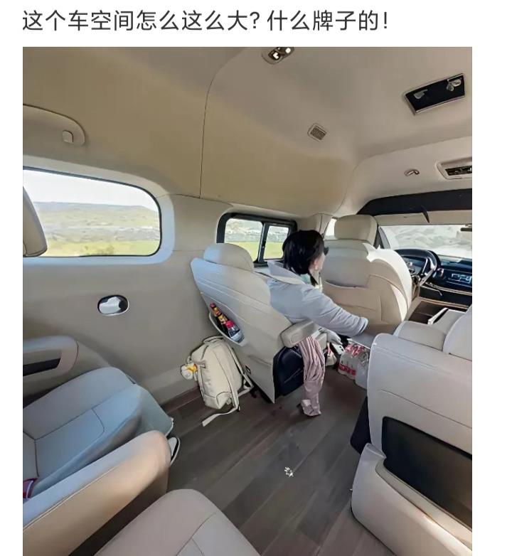 这个车空间这么大，什么牌子的？