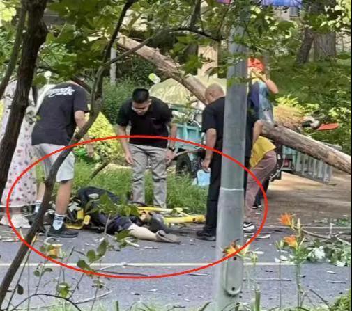 清华大学校园内发生了一起令人痛心的意外事故。一名北京语言大学的教授张爱玲女士在清