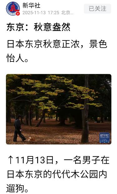 正当全国人民都在批斗日本首相高市早苗之时，新华社突然发了一组日本东京代代木公园的