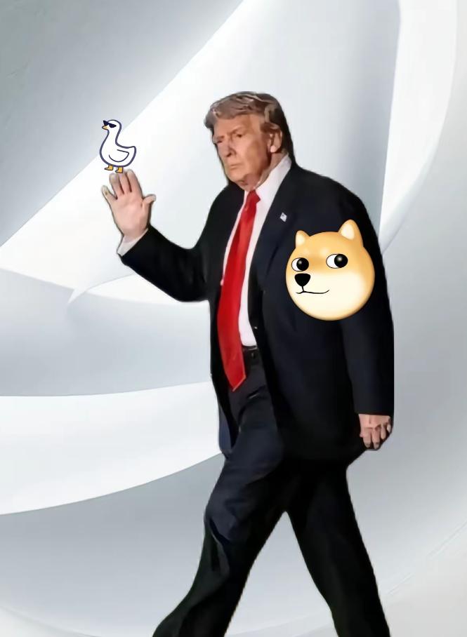 特朗普放话了！美国一步都不让！11月3号他明确说：绝不让别国拿到英伟达Bla