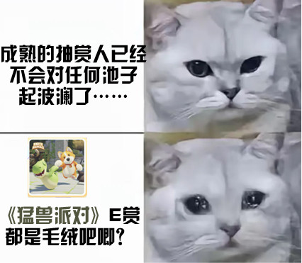 谁把我猛兽派对抽完了咱们池子这么不抗打吗，怎么刚一天就空了，姐妹们给孩子留点粮