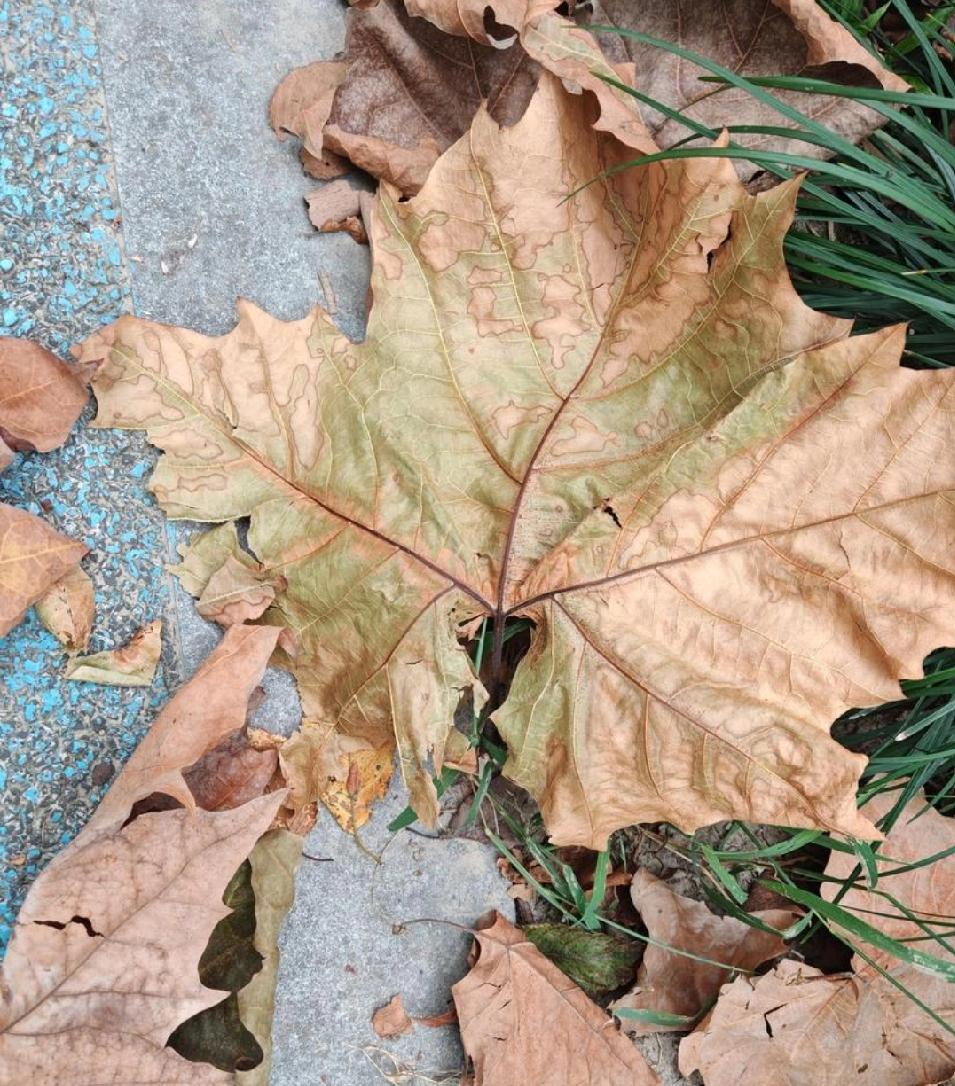 家庭情感中的治愈与失落：如何面对复杂的亲情关系？中国式家庭的亲情网络既细腻温
