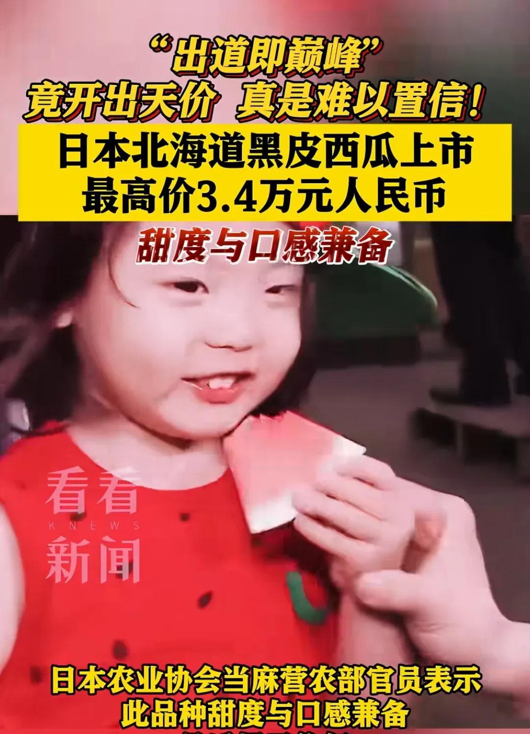 日本北海道黑皮西瓜卖3.4万一个，这瓜到底啥来头？大家见过天价西瓜吗？日本北