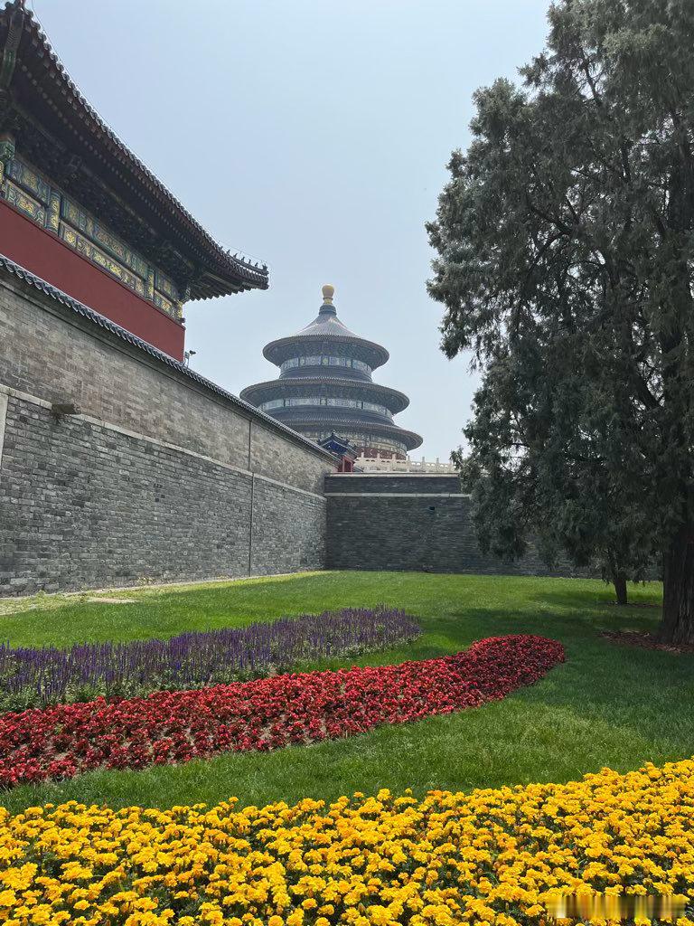 会谈持续两小时十五分钟会后立刻直接去参观🇺🇸记者喊的问题，T唯一回答的是：“