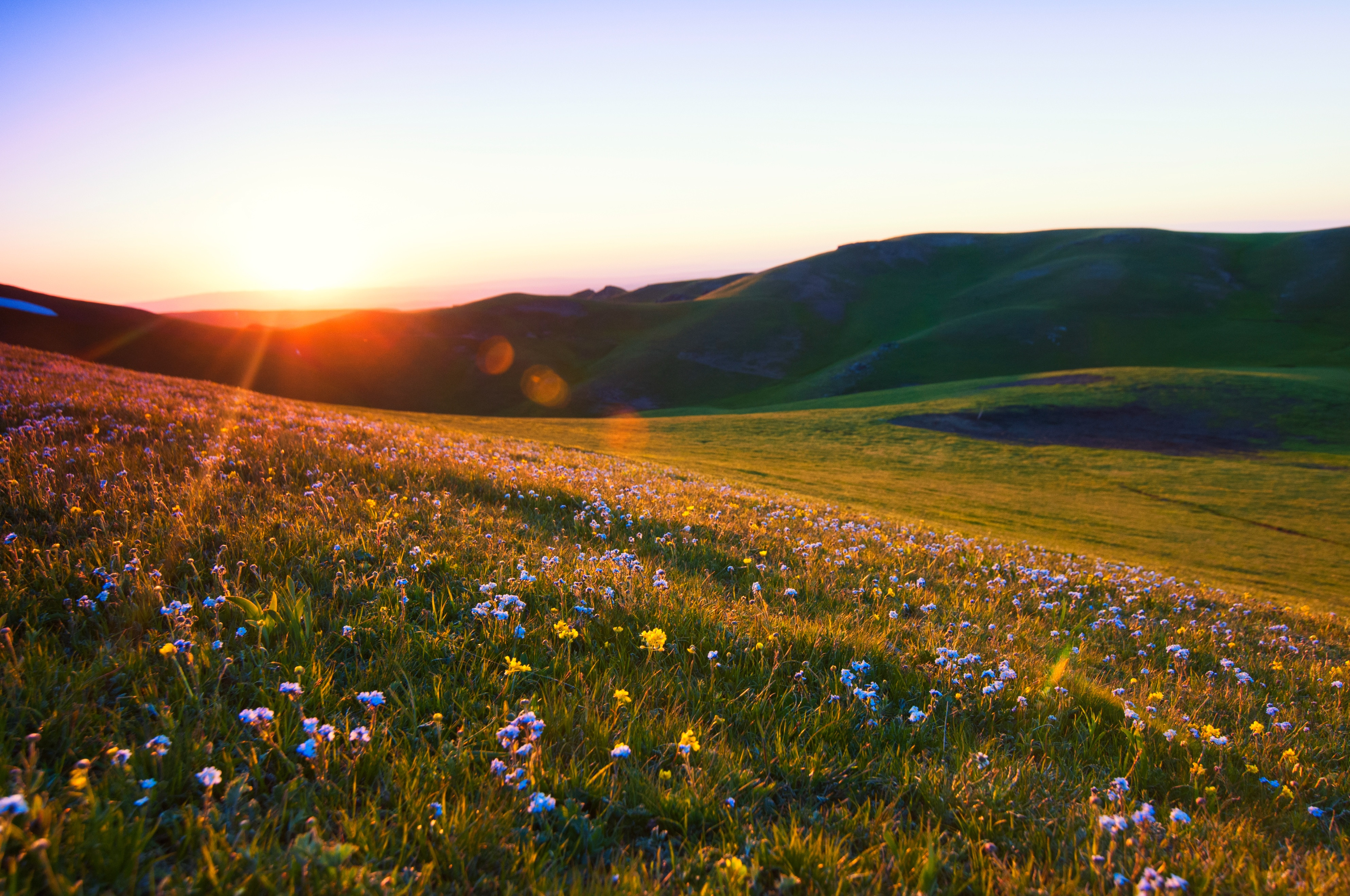 一男人婚姻不顺，说不清哪里错。我看八字：伤官重，又刑妻宫。再看他...