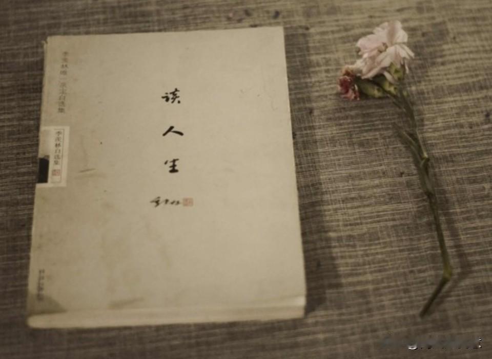 人生前路，命数难窥世事如行雾中，步步皆入未知纵有晴光偶散烟岚，得见一隅远景