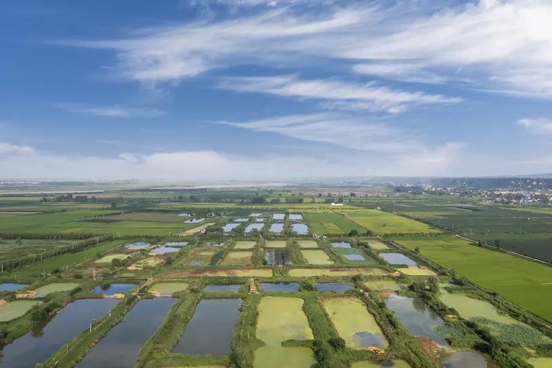 看哭了！湖南衡阳19岁男生，爸爸因病离世，妈妈早没了，留下个鱼塘。为凑学费，他求