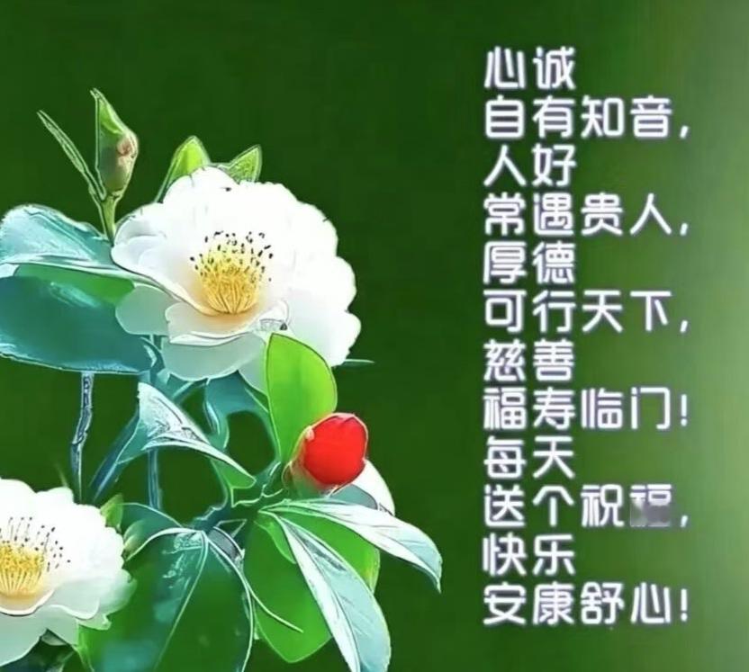 健康小常识：人们找中医看病时，常因传统观念或信息不对等而产生以下误区，值得留意：